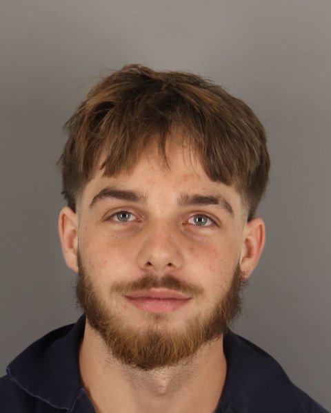 Mugshot of DAVID FRANK