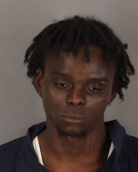 Mugshot of SHAWN JOHNSON