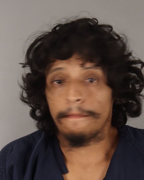 Mugshot of BRANDON CASTRO