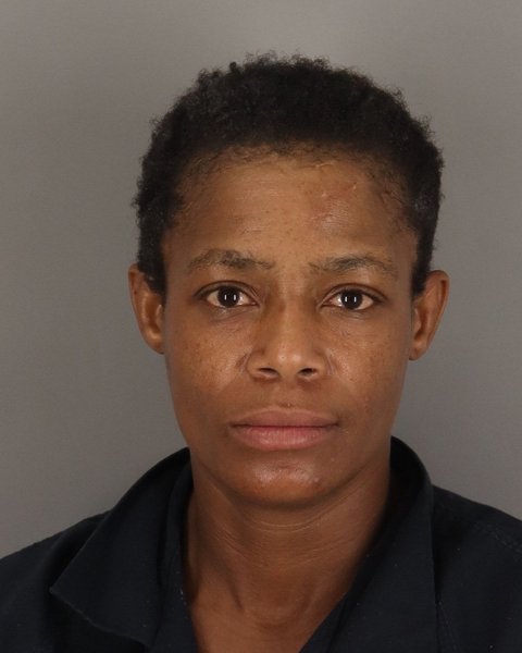 Mugshot of ELIZABETH BRISCOE
