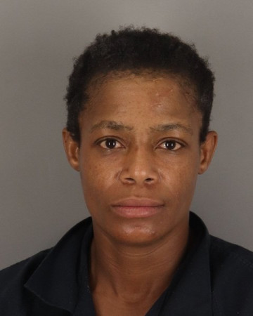 Mugshot of ELIZABETH BRISCOE