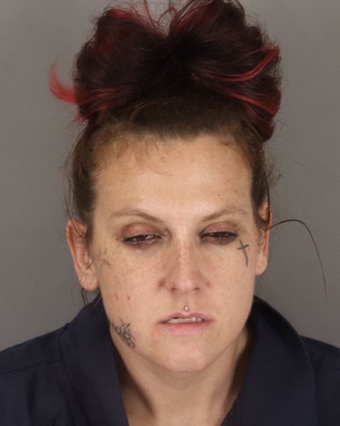 Mugshot of ERICA WHITE-SEGEADA