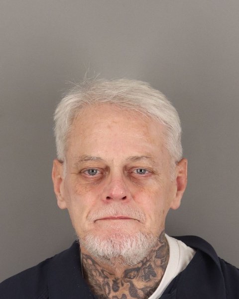 Mugshot of MICHAEL PALMERTREE