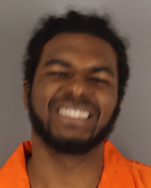 Mugshot of DOMONIQUE LEE
