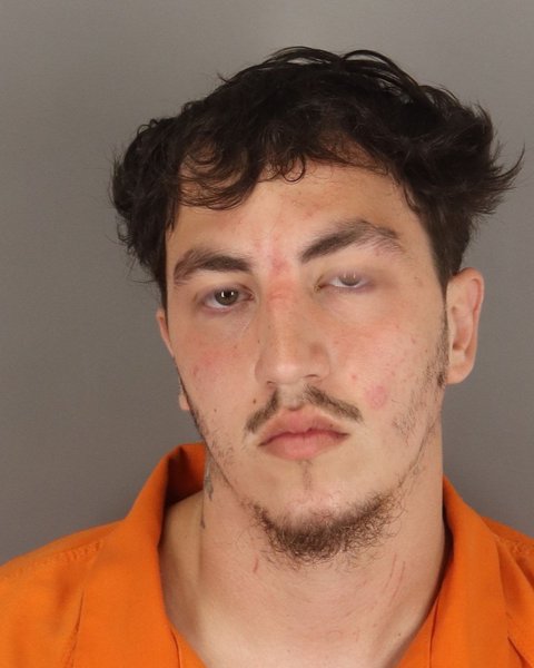 Mugshot of TREYCE ALTMAN