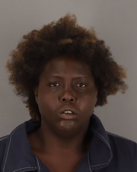 Mugshot of LISA HARRIS
