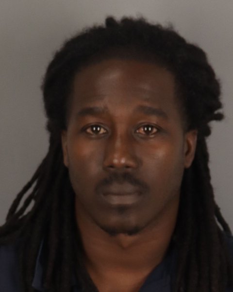 Mugshot of CAMIEN HOGAN