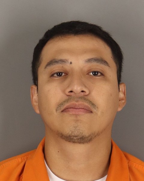 Mugshot of DAVID MEDINA