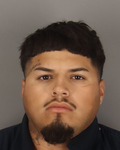 Mugshot of LEONARDO MENDOZA