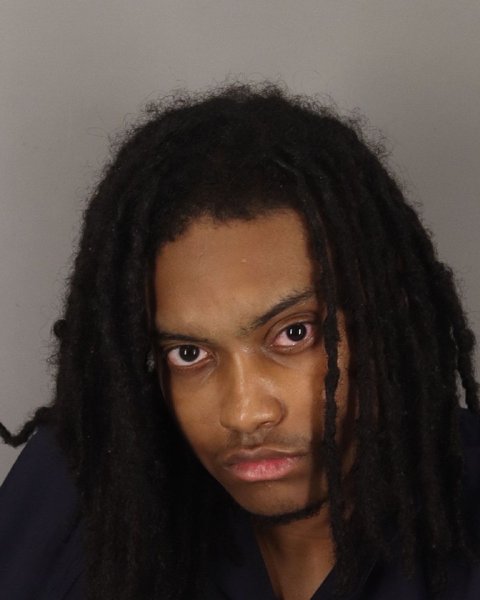 Mugshot of TORRY VOLRIE
