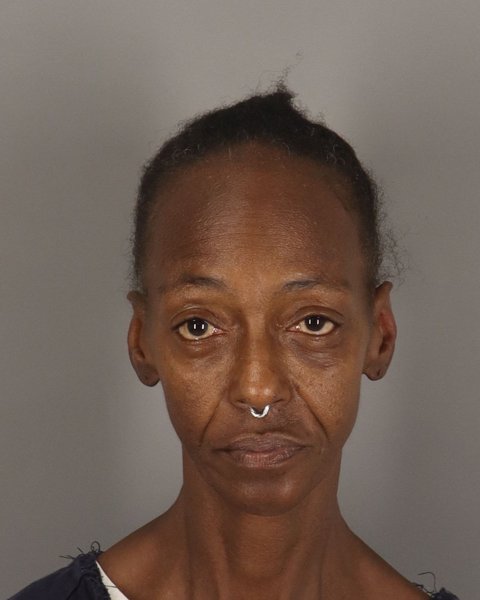 Mugshot of VANESSA HALL