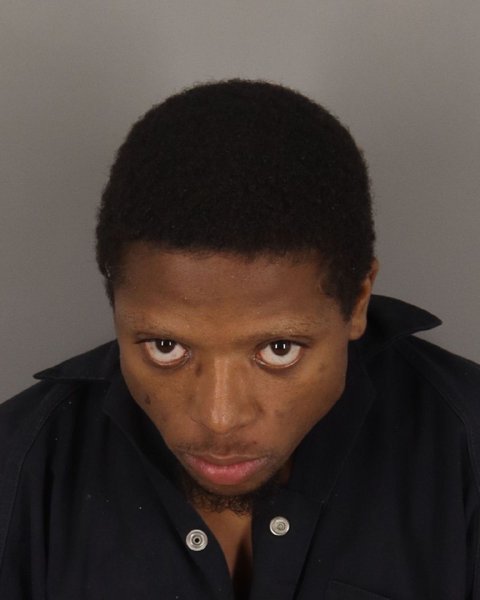 Mugshot of LARRY WILLIAMS