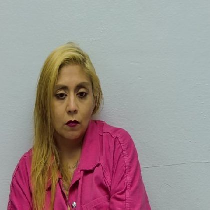 Mugshot of ROBERTA SARINA VILLEGAS