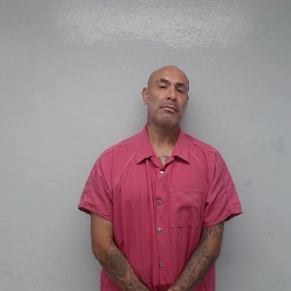 Mugshot of LEANDRO REA