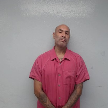 Mugshot of LEANDRO REA