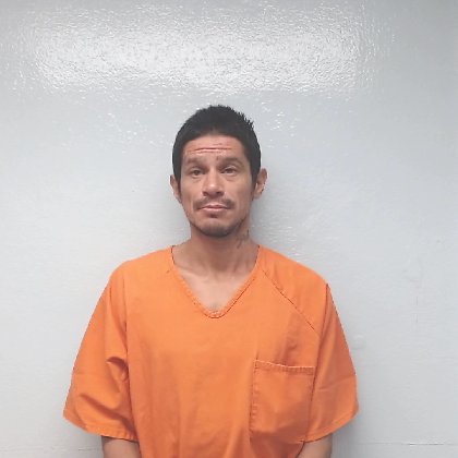 Mugshot of JESUS JAVIER PALACIOS