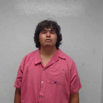 Mugshot of ROLANDO GONZALEZ