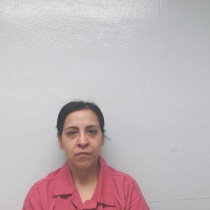 Mugshot of MARICELA GONZALEZ