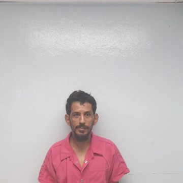 Mugshot of BRYAN JAMES SOULAS
