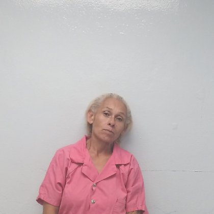 Mugshot of SONIA GARCIA