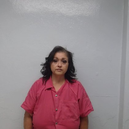 Mugshot of SARITA LOZANO OVALLE