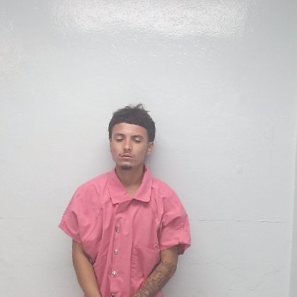 Mugshot of ROLANDO DARIO ARREDONDO