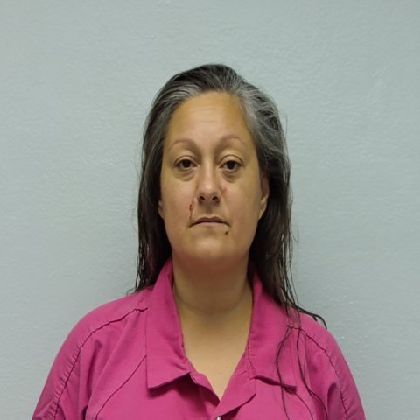 Mugshot of LIZA ANN LERMA