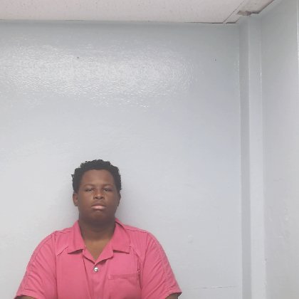 Mugshot of BRANDELL PAUL LEWIS