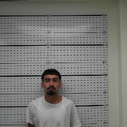 Mugshot of SIAH AIVIN MOSS