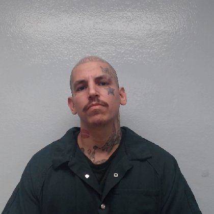 Mugshot of TONY LUERA