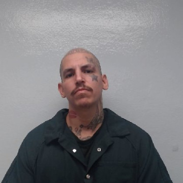 Mugshot of TONY LUERA
