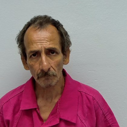 Mugshot of AMANDO LUERA