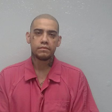 Mugshot of LUIS VELA