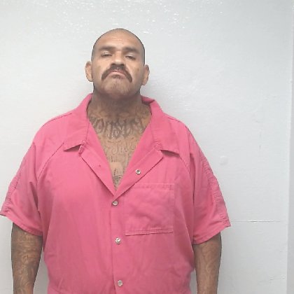Mugshot of REDOLFO VALLEJOS