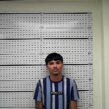 Mugshot of NETHEN RAY CANALES