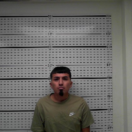 Mugshot of MICHAEL RENTERIA