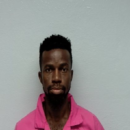 Mugshot of SEUN EMMANUEL OGUNBOWALE