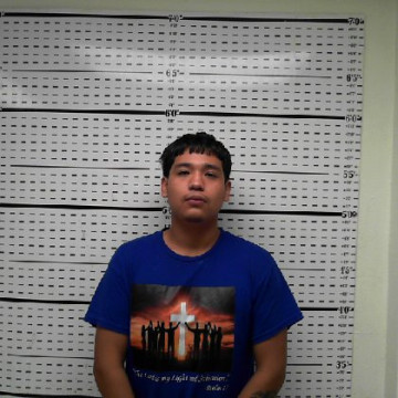 Mugshot of DIEGO KAEL DIAZ-MARTINEZ