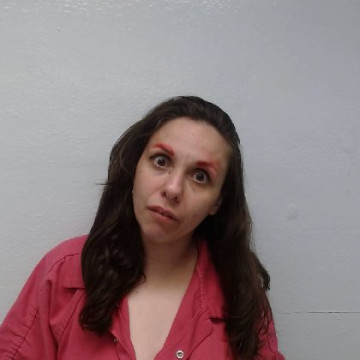 Mugshot of CASSANDRA LYNN CANALES