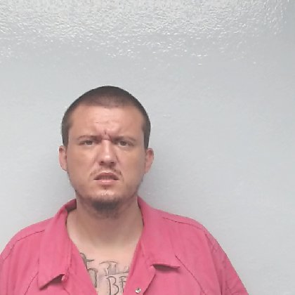 Mugshot of WILLIAM TYLER SPRINGS