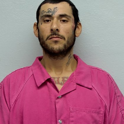 Mugshot of JOE LOUIS MORENO