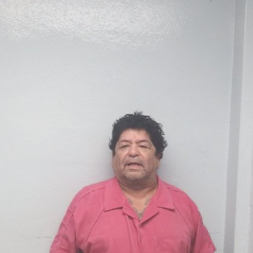 Mugshot of MIGUEL ARCANGEL GARZA