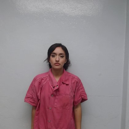 Mugshot of ALINA FLORES
