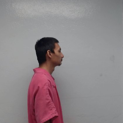 Mugshot of JOEL SALINAS