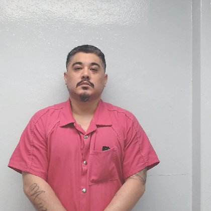 Mugshot of JESUS ALANIZ