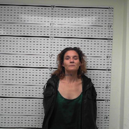 Mugshot of DOLORES LEVON TICHEY