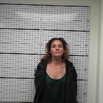 Mugshot of DOLORES LEVON TICHEY