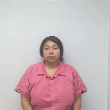 Mugshot of MAKAYLA NEVEAH PEREZ