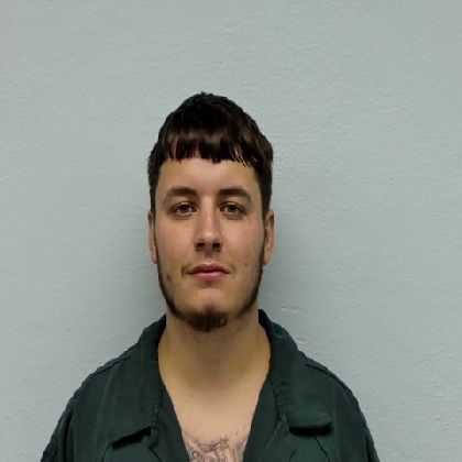 Mugshot of MICHAEL RAY JANSSEN