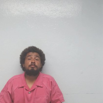Mugshot of JOEL EDUARDO ROMERO